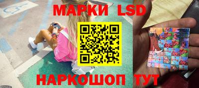 тгк Шебекино