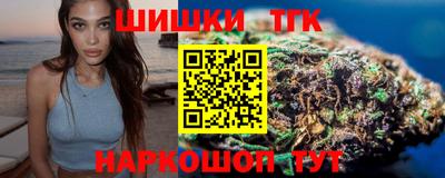 гашик Шелехов