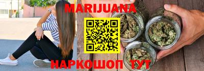 гашик Шелехов