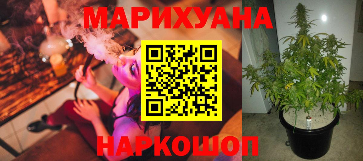 Марихуана сатива  Канабис ГИДРОПОН  Мирный  Вход с VPN  Конопля план 